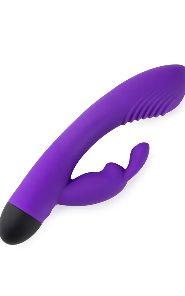 Rechargeable Dual G-Spot Vibrator V6 - Purple koop je bij Speelgoed voor Volwassenen