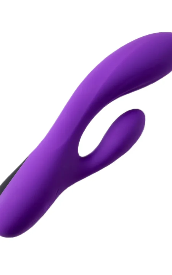Rechargeable Vibrator V1 - Purple koop je bij Speelgoed voor Volwassenen