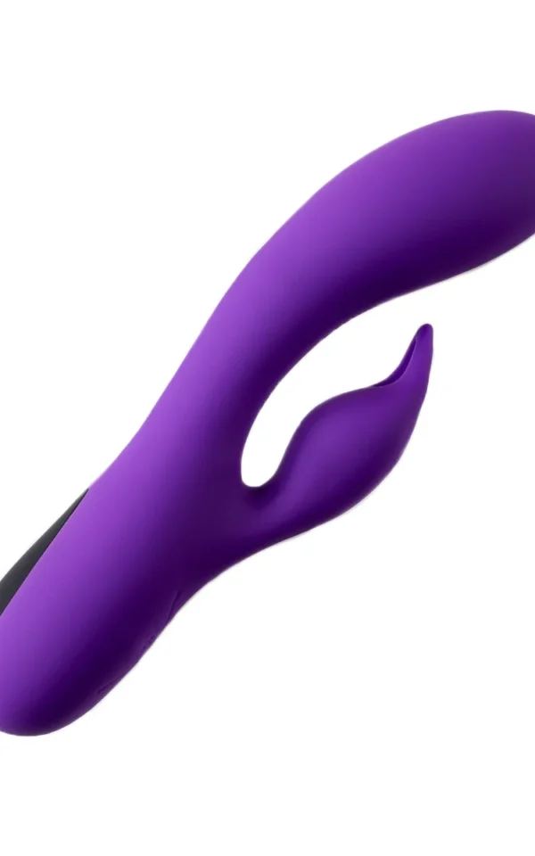 Rechargeable Vibrator V2 - Purple koop je bij Speelgoed voor Volwassenen